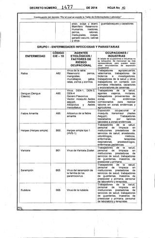 DECRETO NÚMERO-:--__l~4=_7;;.._1__~ DE 2014 HOJA NQ 40
"' ',¡
Continuación del decreto "Por el cual se expide la Tabla de Enfermedades Laborales~'
piojo, pulga y ácaro. guardabosques y cazadores...
Mamífero Reservorio:
.Humanos, roedores,
perros, ratones,
marsupiales, ovejas,
ganado vacuno, cabras
y otros.
GRUPO 1- ENFERMEDADES INFECCIOSAS V PARASITARIAS 

CODIGO AGENTES
ENFERMEDAD CIE ~ 10 ETIOLÓGICOS I 

FACTORES DE 

RIESGO 

OCUPACIONAL 

Virus de la rabia.
Rabia Reservorio: perros,
mangostas,
.murciélagos, gatos,
ratas, zorros y zorrillos.
A82
Virus: DEN-1, DEN-3,
Dengue (Dengue DEN-4.
Clásico)
A90
Genero Flavovirus.
Vector: mosquito Aedes
aegypti, Aedes
Albopictus y Aedes
meiovittatus.
Arbovirus de la fiebre
amarilla
A95Fiebre Amarilla
Herpes (Herpes simple) 800 Herpes simple tipo 1
(HVS-1).
i
OCUPACIONES I 

INDUSTRIAS 

El listado de ocupaciones e industrias no .
es exhaustivo. Se mencionan las más ¡
representativas, pero pueden existir
otras oircunstancias de exposición
ocupacional. .
Trabajadores agropecuarios, .
veterinarios, trabajadores de
bioterios e investigadores,
trabajadores de la salud y otros
trqbajadoresen contacto con
animales infectados, cazadores
y exploradores de cavernas, '
Trabajadores de la salud,
agentes viajeros, mUitares,
trabajadores provenientes· de
zonas no' endémicas
comisionados para realizar
labores en zonas endémicas y
agricultores.
Exposición ocupacional al
mosquito transmisor' (Aedes
Aegypti). Trabajadores
trasladados por razones
laborales a zonas endémicas.
Trabajadores de la salud,
personal de ' limpieza en
instituciones prestadoras de
servicios de salud, anestesista,
odontólogos; médicos,
enfermeras, terapistas
'respiratorias, anestesiólogos,
¡ enfermeras pediátricas.
Trabajadores de la salud,
Varicela 801 Virus de Varicela Zoster. personal de limpieza en
instituciones prestadoras de!
servicios de salud, trabajadores
de guarderías, maestros de
preeSCOlar y primaria.
Trabajadores de la salud,
personal de limpieza en
Sarampión 805 Virus del sarampión de instituciones prestadoras de
la familia de los , servicios de salúd, trabajadores
paramixovirus. i de guarderlas, maestros de
preescolar y primaria, personal
1--- _ _ _ _ _ _ _ _+-____t--_ _ _ _ _~____t__d..;;..e-la;...:b::...o'--r-"-a-'-'to'-'-'-rio y terapistas.
Trabajac;jores de la . salud,
personal de, limpieza en
Rubéola 806 Virus de la rubéola. 	 instituciones . prestadoras de
servicios de salud, trabajadores
de guarderlas, maestros de
preescolar y primaria, personal !
de laboratorio yterapistas.
 