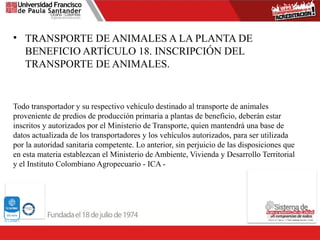 • TRANSPORTE DE ANIMALES A LA PLANTA DE
BENEFICIO ARTÍCULO 18. INSCRIPCIÓN DEL
TRANSPORTE DE ANIMALES.
Todo transportador y su respectivo vehículo destinado al transporte de animales
proveniente de predios de producción primaria a plantas de beneficio, deberán estar
inscritos y autorizados por el Ministerio de Transporte, quien mantendrá una base de
datos actualizada de los transportadores y los vehículos autorizados, para ser utilizada
por la autoridad sanitaria competente. Lo anterior, sin perjuicio de las disposiciones que
en esta materia establezcan el Ministerio de Ambiente, Vivienda y Desarrollo Territorial
y el Instituto Colombiano Agropecuario - ICA -
 