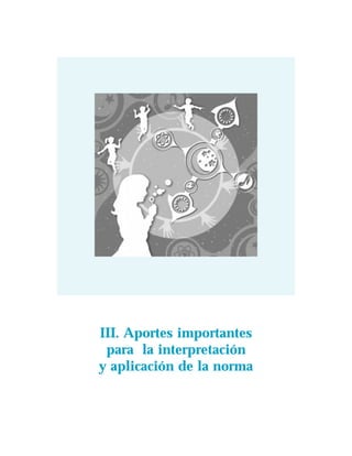 III. Aportes importantes
 para la interpretación
y aplicación de la norma
 