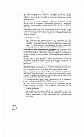 24
b) 1 (una) copia del Anexo B-01-01 E "Rendición de Cuentas de las
Organizaciones de Productores Agropecuarios, Forestales y Comunidades
Indígenas", para la CGR a los efectos de la visación dispuesta por el citado
órgano de control
e) 1 (una) copia del Anexo B-01-01 E "Rendición de Cuentas de las
Organizaciones de Productores Agropecuarios, Forestales y Comunidades
Indígenas", previa recepción y constancia en la CGR, a la UAF's y/o SUAF's
de los OEE.
Las Entidades Beneficiarias de los aportes deberán preparar, custodiar y tener
a disposición de los órganos de control los documentos originales de las
operaciones derivadas de los ingresos y gastos, de los fondos recibidos de las
Entidades aportantes.
1.2 Fecha de presentación.
Las rendiciones de cuentas deberán ser presentadas por las
Organizaciones de Productores Agropecuarios, Forestales y Comunidades
Indígenas Entidades Beneficiarias en periodos bimestrales, dentro de los
quince (15) días posteriores a la finalización del bimestre transferido
realizada porparte de la Dirección General del Tesoro Público.
2. Rendición de Cuentas para productores individuales. Las rendiciones serán
presentadas de acuerdo al Formulario B-01-01 F "Rendición de Cuentas de
Productores Individuales", debidamente completado y firmado, con carácter de
declaración jurada, en 3 (tres) ejemplares o copias para las Instituciones que se
detallan:
a) 1(una) copia de Anexo B-01-01 F "Rendición de Cuentas de Productores
Individuales" debidamente llenada, con carácter de declaración jurada, para el
productor beneficiario, previa recepción de la CGR y constancia de
presentación.
b) 1 (una) copia de Anexo B-01-01 F "Rendición de Cuentas de Productores
Individuales" debidamente llenada, con carácter de declaración jurada, para la
CGR a los efectos de la visación dispuesta por el citado órgano de control.
e) 1 (una) copia de Anexo B-01-01 F "Rendición de Cuentas de Productores
Individuales" debidamente llenada, con carácter de declaración jurada, previa
recepción y constancia de presentación por el citado órgano de control, será
remitida a las UAF 's y/o SUAF's de los OEE.
A los efectos de las rendiciones de cuentas, constituirán parte de los documentos
probatorios de pagos de las UAF's y/o SUAF's, si el caso lo requiera:
d) 1 (una) copia de la Factura Legal en el caso de que empresas privadas
provean servicios y/o insumas a los productores, autenticada por los
representantes de las mismas.
2.1 Fecha de presentación.
Las rendiciones de cuentas deberán ser presentadas en periodos
bimestrales, dentro de los veinte (20) días posteriores al pago de los
recursos transferidos por el Banco, Entidad financiera o empresa privada
encargada.
 