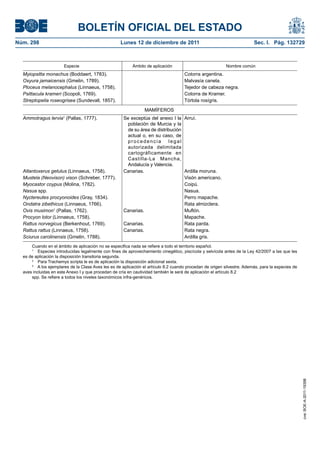 BOLETÍN OFICIAL DEL ESTADO
Núm. 298                                            Lunes 12 de diciembre de 2011                                        Sec. I. Pág. 132729



                       Especie                            Ámbito de aplicación                             Nombre común
  Myiopsitta monachus (Boddaert, 1783).                                              Cotorra argentina.
  Oxyura jamaicensis (Gmelin, 1789).                                                 Malvasía canela.
  Ploceus melanocephalus (Linnaeus, 1758).                                           Tejedor de cabeza negra.
  Psittacula krameri (Scopoli, 1769).                                                Cotorra de Kramer.
  Streptopelia roseogrisea (Sundevall, 1857).                                        Tórtola rosígris.
                                                                 MAMÍFEROS
  Ammotragus lervia (Pallas, 1777).
                      1
                                                      Se exceptúa del anexo I la Arruí.
                                                        población de Murcia y la
                                                        de su área de distribución
                                                        actual o, en su caso, de
                                                        procedencia         legal
                                                        autorizada delimitada
                                                        cartográficamente en
                                                        Castilla-La Mancha,
                                                        Andalucía y Valencia.
  Atlantoxerus getulus (Linnaeus, 1758).              Canarias.                    Ardilla moruna.
  Mustela (Neovison) vison (Schreber, 1777).                                       Visón americano.
  Myocastor coypus (Molina, 1782).                                                 Coipú.
  Nasua spp.                                                                       Nasua.
  Nyctereutes procyonoides (Gray, 1834).                                           Perro mapache.
  Ondatra zibethicus (Linnaeus, 1766).                                             Rata almizclera.
  Ovis musimon1 (Pallas, 1762).                       Canarias.                    Muflón.
  Procyon lotor (Linnaeus, 1758).                                                  Mapache.
  Rattus norvegicus (Berkenhout, 1769).               Canarias.                    Rata parda.
  Rattus rattus (Linnaeus, 1758).                     Canarias.                    Rata negra.
  Sciurus carolinensis (Gmelin, 1788).                                             Ardilla gris.
      Cuando en el ámbito de aplicación no se especifica nada se refiere a todo el territorio español.
      1
          Especies introducidas legalmente con fines de aprovechamiento cinegético, piscícola y selvícola antes de la Ley 42/2007 a las que les
  es de aplicación la disposición transitoria segunda.
      2
          Para Trachemys scripta le es de aplicación la disposición adicional sexta.
      3
         A los ejemplares de la Clase Aves les es de aplicación el artículo 8.2 cuando procedan de origen silvestre. Además, para la especies de
  aves incluidas en este Anexo I y que procedan de cría en cautividad también le será de aplicación el artículo 8.2
      spp. Se refiere a todos los niveles taxonómicos infra-genéricos.




                                                                                                                                                   cve: BOE-A-2011-19398
 