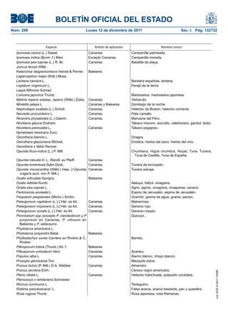BOLETÍN OFICIAL DEL ESTADO
Núm. 298                                          Lunes 12 de diciembre de 2011                               Sec. I. Pág. 132732



                     Especie                          Ámbito de aplicación                       Nombre común
  Ipomoea cairica (L.) Sweet.                      Canarias.                 Campanilla palmeada.
  Ipomoea indica (Burm. f.) Merr.                  Excepto Canarias.         Campanilla morada.
  Ipomoea pes-caprae (L.) R. Br.                   Canarias.                 Batatilla de playa.
  Juncus tenuis Willd.
  Kalanchoe daigremontiana Hamet & Perrier.        Baleares.
  Lagarosiphon major (Ridl.) Moss.
  Lantana camara L.                                                          Bandera española, lantana.
  Lepidium virginicum L.                                                     Perejil de la tierra.
  Lippia filiformis Schrad.
  Lonicera japonica Thunb.                                                   Madreselva, madreselva japonesa.
  Melinis repens subesp. repens (Willd.) Zizka.    Canarias.                 Yerbarubí.
  Mirabilis jalapa L.                              Canarias y Baleares.      Dondiego de la noche.
  Nephrolepis exaltata (L.) Schott.                Canarias.                 Helecho de Boston, helecho corriente.
  Neurada procumbens L.                            Canarias.                 Pata camello.
  Nicandra physalodes (L.) Gaertn.                 Canarias.                 Manzana del Perú.
  Nicotiana glauca Graham.                                                   Tabaco moruno, aciculito, calenturero, gandul, bobo.
  Nicotiana paniculata L.                          Canarias.                 Tabaco pegajoso.
  Nymphaea mexicana Zucc.
  Oenothera biennis L.                                                       Onagra.
  Oenothera glazioviana Micheli.                                             Enotera, hierba del asno, hierba del vino.
  Oenothera x fallax Renner.
  Opuntia ficus-indica (L.) P. Mill.                                         Chumbera, Higos chumbos, Nopal, Tuna, Tunera,
                                                                              Tuna de Castilla, Tuna de España.
  Opuntia robusta H. L. Wendl. ex Pfeiff.          Canarias.
  Opuntia tomentosa Salm-Dyck.                     Canarias.                 Tunera de terciopelo.
  Opuntia monacantha (Willd.) Haw. (=Opuntia       Canarias.                 Tunera salvaje.
    vulgaris auct. non P. Mill.).
  Oxalis articulata Savigny.                       Baleares.
  Oxalis latifolia Kunth.                                                    Aleluya, trébol, vinagrera.
  Oxalis pes-caprae L.                                                       Agrio, agrios, vinagrera, vinagreras, canario.
  Parkinsonia aculeata L.                                                    Espino de Jerusalén, espina de Jerusalén.
  Paspalum paspalodes (Michx.) Scribn.                                       Gramón, grama de agua, grama, panizo.
  Pelargonium capitatum (L.) L’Hér. ex Ait.        Canarias.                 Malvarrosa.
  Pelargonium inquinans (L.) L’Hér. ex Ait.        Canarias.                 Geranio rojo.
  Pelargonium zonale (L.) L’Hér. ex Ait.           Canarias.                 Geranio rosado.
  Pennisetum spp (excepto P. clandestinum y P                                Quicuyo.
    purpureum en Canarias, P. villosum en
    Baleares y P. setaceum).
  Phytolacca americana L.
  Phytolacca polyandra Batal.                      Baleares.
  Phyllostachys aurea Carrière ex Rivière & C.                               Bambú.
    Rivière.
  Pittosporum tobira (Thunb.) Ait. f.              Baleares.
  Pittosporum undulatum Vent.                      Canarias.                 Azarero.
  Populus alba L.                                  Canarias.                 Álamo blanco, chopo blanco.
  Prosopis glandulosa Torr.                                                  Mezquite dulce.
  Prunus dulcis (P. Mill.) D.A. Webber.            Canarias.                 Almendro.
  Prunus serotina Ehrh.                                                      Cerezo negro americano.
                                                                                                                                    cve: BOE-A-2011-19398




  Pteris vittata L.                                Canarias.                 Helecho habichuela, polipodio cordobés.
  Pterocarya x rehderiana Schneider.
  Ricinus communis L.                                                        Tartaguero.
  Robinia pseudoacacia1 L.                                                   Falsa acacia, acacia bastarda, pan y quesillos.
  Rosa rugosa Thunb.                                                         Rosa japonesa, rosa Ramanas.
 