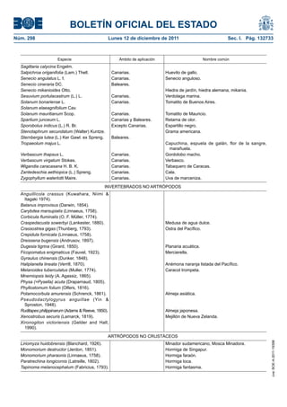 BOLETÍN OFICIAL DEL ESTADO
Núm. 298                                        Lunes 12 de diciembre de 2011                                Sec. I. Pág. 132733



                     Especie                          Ámbito de aplicación                        Nombre común
  Sagittaria calycina Engelm.
  Salpichroa origanifolia (Lam.) Thell.            Canarias.                 Huevito de gallo.
  Senecio angulatus L. f.                          Canarias.                 Senecio anguloso.
  Senecio cineraria DC.                            Baleares.
  Senecio mikanioides Otto.                                                  Hiedra de jardín, hiedra alemana, mikania.
  Sesuvium portulacastrum (L.) L.                  Canarias.                 Verdolaga marina.
  Solanum bonariense L.                            Canarias.                 Tomatito de Buenos Aires.
  Solanum elaeagnifolium Cav.
  Solanum mauritianum Scop.                        Canarias.                 Tomatito de Mauricio.
  Spartium junceum L.                              Canarias y Baleares.      Retama de olor.
  Sporobolus indicus (L.) R. Br.                   Excepto Canarias.         Espartillo negro.
  Stenotaphrum secundatum (Walter) Kuntze.                                   Grama americana.
  Sternbergia lutea (L.) Ker Gawl. ex Spreng.      Baleares.
  Tropaeolum majus L.                                                        Capuchina, espuela de galán, flor de la sangre,
                                                                               marañuela.
  Verbascum thapsus L.                             Canarias.                 Gordolobo macho.
  Verbascum virgatum Stokes.                       Canarias.                 Verbasco.
  Wigandia caracasana H. B. K.                     Canarias.                 Tabaquero de Caracas.
  Zantedeschia aethiopica (L.) Spreng.             Canarias.                 Cala.
  Zygophyllum waterlotti Maire.                    Canarias.                 Uva de marceniza.
                                             INVERTEBRADOS NO ARTRÓPODOS
  Anguillicola crassus (Kuwahara, Niimi &
    Itagaki 1974).
  Balanus improvisus (Darwin, 1854).
  Carybdea marsupialis (Linnaeus, 1758).
  Corbicula fluminalis (O. F. Müller, 1774).
  Craspedacusta sowerbyi (Lankester, 1880).                                  Medusa de agua dulce.
  Crassostrea gigas (Thunberg, 1793).                                        Ostra del Pacífico.
  Crepidula fornicata (Linnaeus, 1758).
  Dreissena bugensis (Andrusov, 1897).
  Dugesia tigrina (Girard, 1850).                                            Planaria acuática.
  Ficopomatus enigmaticus (Fauvel, 1923).                                    Mercierella.
  Gyraulus chinensis (Dunker, 1848).
  Haliplanella lineata (Verrill, 1870).                                      Anémona naranja listada del Pacífico.
  Melanoides tuberculatus (Muller, 1774).                                    Caracol trompeta.
  Mnemiopsis leidy (A. Agassiz, 1865).
  Physa (=Pysella) acuta (Draparnaud, 1805).
  Phyllostomum folium (Olfers, 1816).
  Potamocorbula amurensis (Schrenck, 1861).                                  Almeja asiática.
  Pseudodactylogyrus anguillae (Yin &
    Sproston, 1948).
  Ruditapes philippinarum (Adams & Reeve, 1850).                             Almeja japonesa.
  Xenostrobus securis (Lamarck, 1819).                                       Mejillón de Nueva Zelanda.
  Xironogiton victoriensis (Gelder and Hall,
    1990).
                                                ARTRÓPODOS NO CRUSTÁCEOS
                                                                                                                               cve: BOE-A-2011-19398




  Liriomyza huidobrensis (Blanchard, 1926).                                  Minador sudamericano, Mosca Minadora.
  Monomorium destructor (Jerdon, 1851).                                      Hormiga de Singapur.
  Monomorium pharaonis (Linnaeus, 1758).                                     Hormiga faraón.
  Paratrechina longicornis (Latreille, 1802).                                Hormiga loca.
  Tapinoma melanocephalum (Fabricius, 1793).                                 Hormiga fantasma.
 