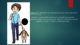  Artículo 57. TRANSITO DE ANIMALES EN LAS VIAS PUBLICAS Y
OTROS SITIOS.
Dueños o responsables de perros y animales que puedan
representar peligro para las personas, deberán conducirlo usando
cadenas, correas o traíllas y utilizando bozal..
 