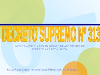 Karla Rojas Dubó - Ingenieria en Prevención de Riesgos   DECRETO SUPREMO Nº 313  INCLUYE A ESCOLARES EN SEGURO DE ACCIDENTES DE ACUERDO A LA LEY Nº 16.744 