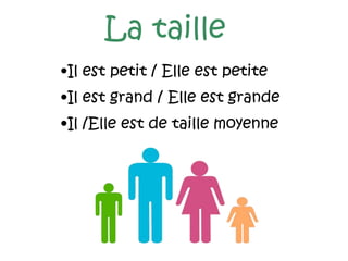 La taille
•Il est petit / Elle est petite
•Il est grand / Elle est grande
•Il /Elle est de taille moyenne
 