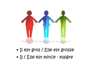 • Il est gros / Elle est grosse
• Il / Elle est mince - maigre
 