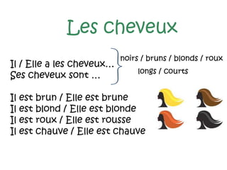 Les cheveux
Il / Elle a les cheveux…
Ses cheveux sont …
Il est brun / Elle est brune
Il est blond / Elle est blonde
Il est roux / Elle est rousse
Il est chauve / Elle est chauve
noirs / bruns / blonds / roux
longs / courts
 