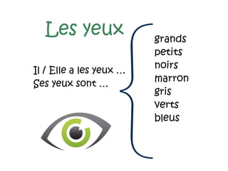 Les yeux grands
petits
noirs
marron
gris
verts
bleus
Il / Elle a les yeux …
Ses yeux sont …
 