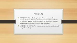 VOCABULARIO
 BIOPSICOLOGIA: Es la aplicación de los principios de la
biología al estudio del comportamiento de los animales incluidos
los humanos. Adopta la visión científica del mundo que sostiene
que los procesos mentales son procesos cerebrales.
 METODO IDEOVISUAL: este método apoya el aprendizaje de la
ortografía en dibujos.
 