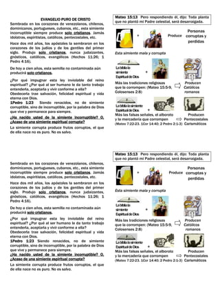 De cual simiente espiritual es usted   corregido