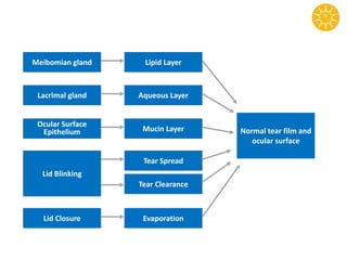 Meibomian gland
Lacrimal gland
Ocular Surface
Epithelium
Lid Blinking
Lid Closure
Lipid Layer
Aqueous Layer
Mucin Layer
Tear Spread
Evaporation
Tear Clearance
Normal tear film and
ocular surface
 