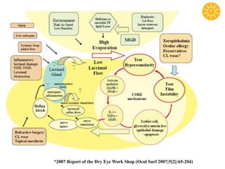 *2007 Report of the Dry Eye Work Shop (Ocul Surf 2007;5[2]:65-204)
 