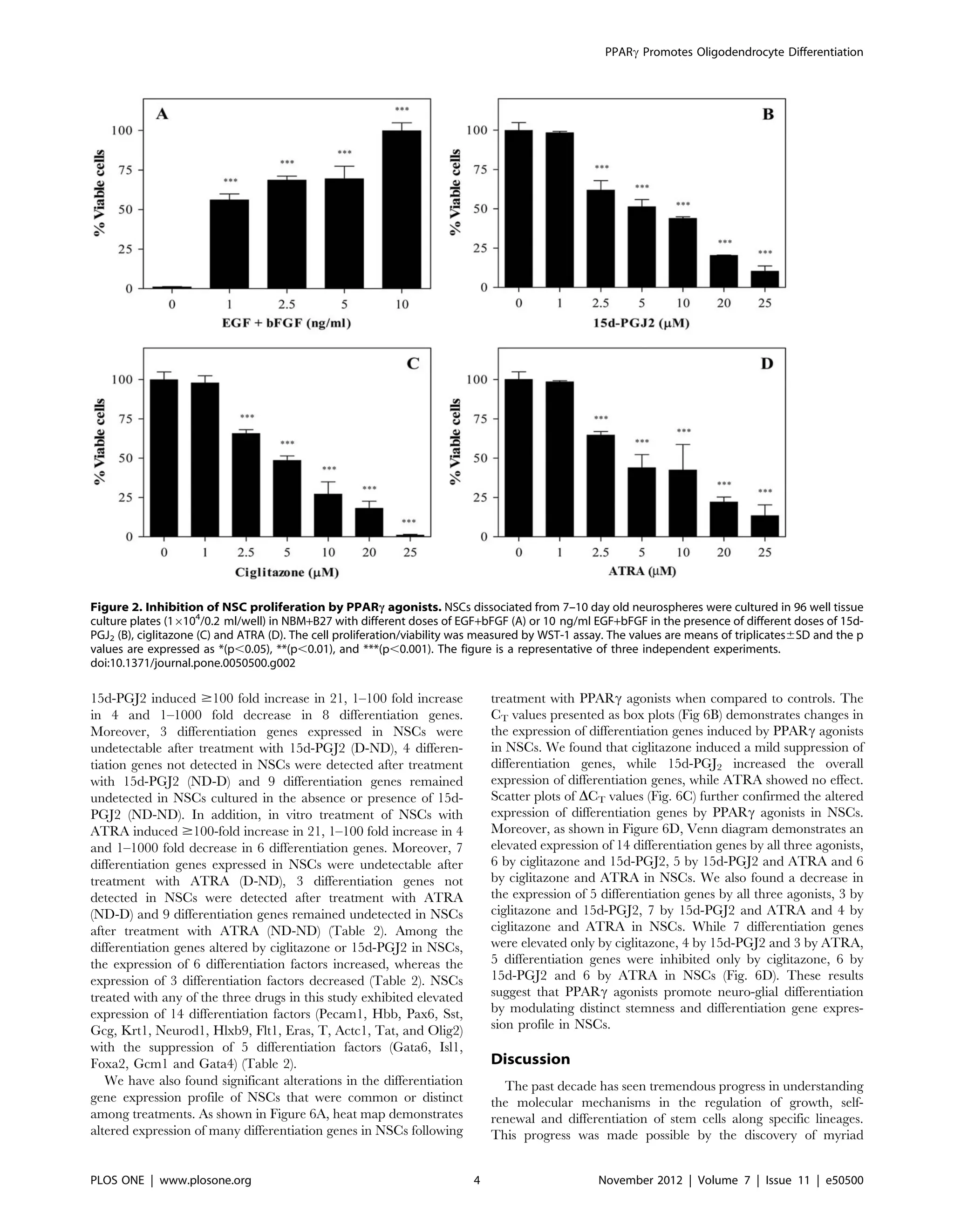 15d-PGJ2 induced $100 fold increase in 21, 1–100 fold increase
in 4 and 1–1000 fold decrease in 8 differentiation genes.
Moreover, 3 differentiation genes expressed in NSCs were
undetectable after treatment with 15d-PGJ2 (D-ND), 4 differen-
tiation genes not detected in NSCs were detected after treatment
with 15d-PGJ2 (ND-D) and 9 differentiation genes remained
undetected in NSCs cultured in the absence or presence of 15d-
PGJ2 (ND-ND). In addition, in vitro treatment of NSCs with
ATRA induced $100-fold increase in 21, 1–100 fold increase in 4
and 1–1000 fold decrease in 6 differentiation genes. Moreover, 7
differentiation genes expressed in NSCs were undetectable after
treatment with ATRA (D-ND), 3 differentiation genes not
detected in NSCs were detected after treatment with ATRA
(ND-D) and 9 differentiation genes remained undetected in NSCs
after treatment with ATRA (ND-ND) (Table 2). Among the
differentiation genes altered by ciglitazone or 15d-PGJ2 in NSCs,
the expression of 6 differentiation factors increased, whereas the
expression of 3 differentiation factors decreased (Table 2). NSCs
treated with any of the three drugs in this study exhibited elevated
expression of 14 differentiation factors (Pecam1, Hbb, Pax6, Sst,
Gcg, Krt1, Neurod1, Hlxb9, Flt1, Eras, T, Actc1, Tat, and Olig2)
with the suppression of 5 differentiation factors (Gata6, Isl1,
Foxa2, Gcm1 and Gata4) (Table 2).
We have also found significant alterations in the differentiation
gene expression profile of NSCs that were common or distinct
among treatments. As shown in Figure 6A, heat map demonstrates
altered expression of many differentiation genes in NSCs following
treatment with PPARc agonists when compared to controls. The
CT values presented as box plots (Fig 6B) demonstrates changes in
the expression of differentiation genes induced by PPARc agonists
in NSCs. We found that ciglitazone induced a mild suppression of
differentiation genes, while 15d-PGJ2 increased the overall
expression of differentiation genes, while ATRA showed no effect.
Scatter plots of DCT values (Fig. 6C) further confirmed the altered
expression of differentiation genes by PPARc agonists in NSCs.
Moreover, as shown in Figure 6D, Venn diagram demonstrates an
elevated expression of 14 differentiation genes by all three agonists,
6 by ciglitazone and 15d-PGJ2, 5 by 15d-PGJ2 and ATRA and 6
by ciglitazone and ATRA in NSCs. We also found a decrease in
the expression of 5 differentiation genes by all three agonists, 3 by
ciglitazone and 15d-PGJ2, 7 by 15d-PGJ2 and ATRA and 4 by
ciglitazone and ATRA in NSCs. While 7 differentiation genes
were elevated only by ciglitazone, 4 by 15d-PGJ2 and 3 by ATRA,
5 differentiation genes were inhibited only by ciglitazone, 6 by
15d-PGJ2 and 6 by ATRA in NSCs (Fig. 6D). These results
suggest that PPARc agonists promote neuro-glial differentiation
by modulating distinct stemness and differentiation gene expres-
sion profile in NSCs.
Discussion
The past decade has seen tremendous progress in understanding
the molecular mechanisms in the regulation of growth, self-
renewal and differentiation of stem cells along specific lineages.
This progress was made possible by the discovery of myriad
Figure 2. Inhibition of NSC proliferation by PPARc agonists. NSCs dissociated from 7–10 day old neurospheres were cultured in 96 well tissue
culture plates (16104
/0.2 ml/well) in NBM+B27 with different doses of EGF+bFGF (A) or 10 ng/ml EGF+bFGF in the presence of different doses of 15d-
PGJ2 (B), ciglitazone (C) and ATRA (D). The cell proliferation/viability was measured by WST-1 assay. The values are means of triplicates6SD and the p
values are expressed as *(p,0.05), **(p,0.01), and ***(p,0.001). The figure is a representative of three independent experiments.
doi:10.1371/journal.pone.0050500.g002
PPARc Promotes Oligodendrocyte Differentiation
PLOS ONE | www.plosone.org 4 November 2012 | Volume 7 | Issue 11 | e50500
 