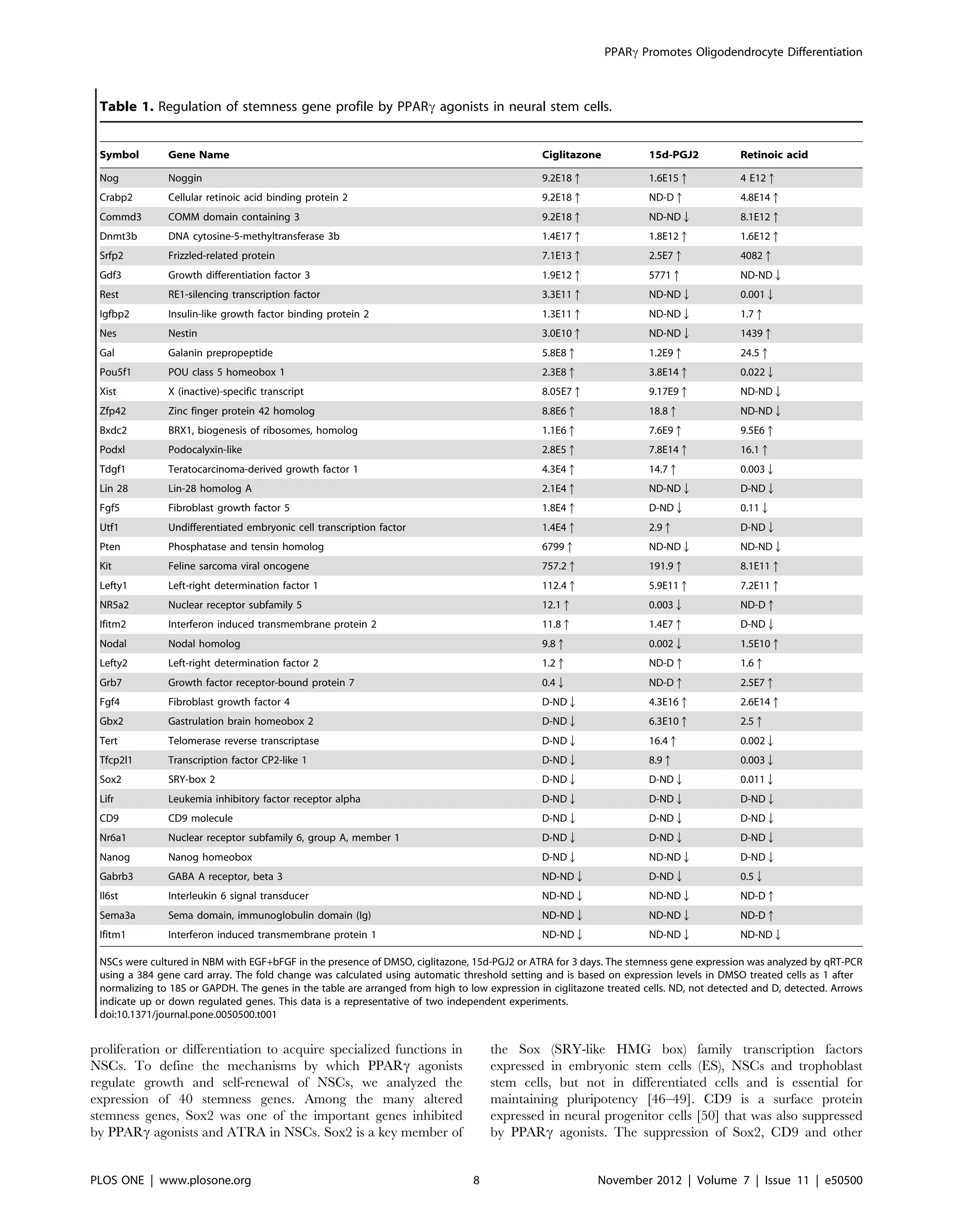 proliferation or differentiation to acquire specialized functions in
NSCs. To define the mechanisms by which PPARc agonists
regulate growth and self-renewal of NSCs, we analyzed the
expression of 40 stemness genes. Among the many altered
stemness genes, Sox2 was one of the important genes inhibited
by PPARc agonists and ATRA in NSCs. Sox2 is a key member of
the Sox (SRY-like HMG box) family transcription factors
expressed in embryonic stem cells (ES), NSCs and trophoblast
stem cells, but not in differentiated cells and is essential for
maintaining pluripotency [46–49]. CD9 is a surface protein
expressed in neural progenitor cells [50] that was also suppressed
by PPARc agonists. The suppression of Sox2, CD9 and other
Table 1. Regulation of stemness gene profile by PPARc agonists in neural stem cells.
Symbol Gene Name Ciglitazone 15d-PGJ2 Retinoic acid
Nog Noggin 9.2E18q 1.6E15q 4 E12q
Crabp2 Cellular retinoic acid binding protein 2 9.2E18q ND-Dq 4.8E14q
Commd3 COMM domain containing 3 9.2E18q ND-NDQ 8.1E12q
Dnmt3b DNA cytosine-5-methyltransferase 3b 1.4E17q 1.8E12q 1.6E12q
Srfp2 Frizzled-related protein 7.1E13q 2.5E7q 4082q
Gdf3 Growth differentiation factor 3 1.9E12q 5771q ND-NDQ
Rest RE1-silencing transcription factor 3.3E11q ND-NDQ 0.001Q
Igfbp2 Insulin-like growth factor binding protein 2 1.3E11q ND-NDQ 1.7q
Nes Nestin 3.0E10q ND-NDQ 1439q
Gal Galanin prepropeptide 5.8E8q 1.2E9q 24.5q
Pou5f1 POU class 5 homeobox 1 2.3E8q 3.8E14q 0.022Q
Xist X (inactive)-specific transcript 8.05E7q 9.17E9q ND-NDQ
Zfp42 Zinc finger protein 42 homolog 8.8E6q 18.8q ND-NDQ
Bxdc2 BRX1, biogenesis of ribosomes, homolog 1.1E6q 7.6E9q 9.5E6q
Podxl Podocalyxin-like 2.8E5q 7.8E14q 16.1q
Tdgf1 Teratocarcinoma-derived growth factor 1 4.3E4q 14.7q 0.003Q
Lin 28 Lin-28 homolog A 2.1E4q ND-NDQ D-NDQ
Fgf5 Fibroblast growth factor 5 1.8E4q D-NDQ 0.11Q
Utf1 Undifferentiated embryonic cell transcription factor 1.4E4q 2.9q D-NDQ
Pten Phosphatase and tensin homolog 6799q ND-NDQ ND-NDQ
Kit Feline sarcoma viral oncogene 757.2q 191.9q 8.1E11q
Lefty1 Left-right determination factor 1 112.4q 5.9E11q 7.2E11q
NR5a2 Nuclear receptor subfamily 5 12.1q 0.003Q ND-Dq
Ifitm2 Interferon induced transmembrane protein 2 11.8q 1.4E7q D-NDQ
Nodal Nodal homolog 9.8q 0.002Q 1.5E10q
Lefty2 Left-right determination factor 2 1.2q ND-Dq 1.6q
Grb7 Growth factor receptor-bound protein 7 0.4Q ND-Dq 2.5E7q
Fgf4 Fibroblast growth factor 4 D-NDQ 4.3E16q 2.6E14q
Gbx2 Gastrulation brain homeobox 2 D-NDQ 6.3E10q 2.5q
Tert Telomerase reverse transcriptase D-NDQ 16.4q 0.002Q
Tfcp2l1 Transcription factor CP2-like 1 D-NDQ 8.9q 0.003Q
Sox2 SRY-box 2 D-NDQ D-NDQ 0.011Q
Lifr Leukemia inhibitory factor receptor alpha D-NDQ D-NDQ D-NDQ
CD9 CD9 molecule D-NDQ D-NDQ D-NDQ
Nr6a1 Nuclear receptor subfamily 6, group A, member 1 D-NDQ D-NDQ D-NDQ
Nanog Nanog homeobox D-NDQ ND-NDQ D-NDQ
Gabrb3 GABA A receptor, beta 3 ND-NDQ D-NDQ 0.5Q
Il6st Interleukin 6 signal transducer ND-NDQ ND-NDQ ND-Dq
Sema3a Sema domain, immunoglobulin domain (Ig) ND-NDQ ND-NDQ ND-Dq
Ifitm1 Interferon induced transmembrane protein 1 ND-NDQ ND-NDQ ND-NDQ
NSCs were cultured in NBM with EGF+bFGF in the presence of DMSO, ciglitazone, 15d-PGJ2 or ATRA for 3 days. The stemness gene expression was analyzed by qRT-PCR
using a 384 gene card array. The fold change was calculated using automatic threshold setting and is based on expression levels in DMSO treated cells as 1 after
normalizing to 18S or GAPDH. The genes in the table are arranged from high to low expression in ciglitazone treated cells. ND, not detected and D, detected. Arrows
indicate up or down regulated genes. This data is a representative of two independent experiments.
doi:10.1371/journal.pone.0050500.t001
PPARc Promotes Oligodendrocyte Differentiation
PLOS ONE | www.plosone.org 8 November 2012 | Volume 7 | Issue 11 | e50500
 