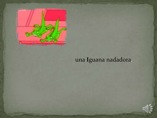 una Iguana nadadora,