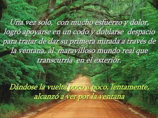 Una vez solo, con mucho esfuerzo y dolor,
logró apoyarse en un codo y doblarse despacio
para tratar de dar su primera mirada a través de
la ventana, al maravilloso mundo real que
transcurría en el exterior.
Dándose la vuelta poco a poco, lentamente,
alcanzó a ver por la ventana
 
