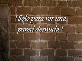 ! Sólo para ver una
pared desnuda !
 