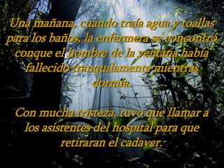 Una mañana, cuando traía agua y toallas
para los baños, la enfermera se eoncontró
conque el hombre de la ventana había
fallecido tranquilamente mientras
dormía.
Con mucha tristeza, tuvo que llamar a
los asistentes del hospital para que
retiraran el cadaver.
 