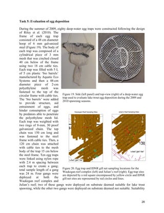 28
Task 5: Evaluation of egg deposition
During the summer of 2009, eighty deep-water egg traps were constructed following the design
of Riley et al. (2010). The
frame of each egg trap
consisted of a 48 cm diameter
hoop of 6 mm galvanized
steel (Figure 19). The body of
each trap was composed of a
cylindrical piece of 3 mm
mesh that was cinched closed
40 cm below of the frame
using two 18 cm cable ties.
Each trap was filled with 5 L
of 5 cm plastic ‘bio barrels’
manufactured by Aquatic Eco
Systems and then a 48-cm
diameter piece of 2-cm
polyethylene mesh was
fastened to the top of the
circular frame with cable ties.
The ‘bio barrels’ were added
to provide structure, aid
entrainment of eggs, and
hinder consumption of eggs
by predators able to penetrate
the polyethylene mesh lid.
Each trap was weighted with
two rings of 8-mm, 30 proof
galvanized chain. The top
chain was 150 cm long and
was fastened to the steel
frame with cable ties. Then, a
120 cm chain was attached
with cable ties to the mesh
body of the trap 15 cm below
the steel frame. Ten egg traps
were linked using nylon rope
with 2.4 m spacing between
each trap to create a gang;
total sample length of a gang
was 24 m. Four gangs were
deployed at both the
Waukegan reef complex and
Julian’s reef; two of these gangs were deployed on substrate deemed suitable for lake trout
spawning, while the other two gangs were deployed on substrate deemed not suitable. Suitability
Figure 19. Side (left panel) and top-view (right) of a deep-water egg
trap used to evaluate lake trout egg deposition during the 2009 and
2010 spawning seasons.
Figure 20. Egg trap and IDNR gill net sampling locations for the
Waukegan reef complex (left) and Julian’s reef (right). Egg trap sites
are depicted by a red square encompassed by yellow circle and IDNR
gill net sites are represented by red circles and lines.
 
