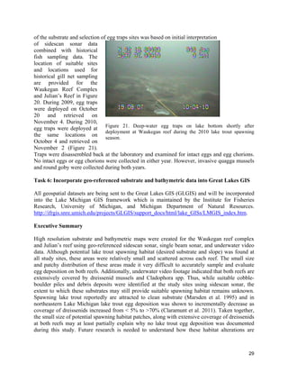 29
of the substrate and selection of egg traps sites was based on initial interpretation
of sidescan sonar data
combined with historical
fish sampling data. The
location of suitable sites
and locations used for
historical gill net sampling
are provided for the
Waukegan Reef Complex
and Julian’s Reef in Figure
20. During 2009, egg traps
were deployed on October
20 and retrieved on
November 4. During 2010,
egg traps were deployed at
the same locations on
October 4 and retrieved on
November 2 (Figure 21).
Traps were disassembled back at the laboratory and examined for intact eggs and egg chorions.
No intact eggs or egg chorions were collected in either year. However, invasive quagga mussels
and round goby were collected during both years.
Task 6: Incorporate geo-referenced substrate and bathymetric data into Great Lakes GIS
All geospatial datasets are being sent to the Great Lakes GIS (GLGIS) and will be incorporated
into the Lake Michigan GIS framework which is maintained by the Institute for Fisheries
Research, University of Michigan, and Michigan Department of Natural Resources.
http://ifrgis.snre.umich.edu/projects/GLGIS/support_docs/html/lake_GISs/LMGIS_index.htm.
Executive Summary
High resolution substrate and bathymetric maps were created for the Waukegan reef complex
and Julian’s reef using geo-referenced sidescan sonar, single beam sonar, and underwater video
data. Although potential lake trout spawning habitat (desired substrate and slope) was found at
all study sites, these areas were relatively small and scattered across each reef. The small size
and patchy distribution of these areas made it very difficult to accurately sample and evaluate
egg deposition on both reefs. Additionally, underwater video footage indicated that both reefs are
extensively covered by dreissenid mussels and Cladophora spp. Thus, while suitable cobble-
boulder piles and debris deposits were identified at the study sites using sidescan sonar, the
extent to which these substrates may still provide suitable spawning habitat remains unknown.
Spawning lake trout reportedly are attracted to clean substrate (Marsden et al. 1995) and in
northeastern Lake Michigan lake trout egg deposition was shown to incrementally decrease as
coverage of dreissenids increased from < 5% to >70% (Claramunt et al. 2011). Taken together,
the small size of potential spawning habitat patches, along with extensive coverage of dreissenids
at both reefs may at least partially explain why no lake trout egg deposition was documented
during this study. Future research is needed to understand how these habitat alterations are
Figure 21. Deep-water egg traps on lake bottom shortly after
deployment at Waukegan reef during the 2010 lake trout spawning
season.
 