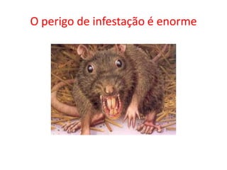 O perigo de infestação é enorme
 