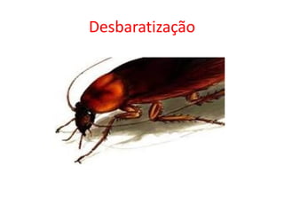 Desbaratização
 