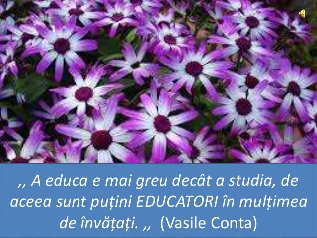 Dedicație Pentru Doamna Invățătoare Maria Vulpe