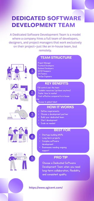 Comprehensive Guide to Dedicated Software Development Teams for ...