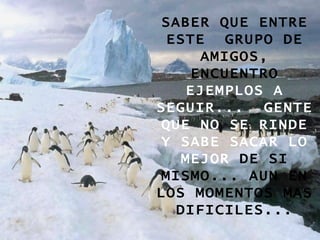 SABER QUE ENTRE ESTE  GRUPO DE AMIGOS, ENCUENTRO  EJEMPLOS A SEGUIR...  GENTE QUE NO SE RINDE Y SABE SACAR LO MEJOR  DE SI MISMO... AUN EN LOS MOMENTOS MAS DIFICILES... 