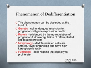 Dedifferentiation | PPTX