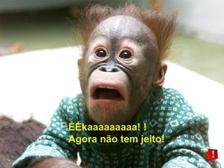 ÉÉkaaaaaaaaa! !  Agora não tem jeito! 