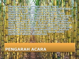 PENGARAH ACARA
 