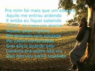 Tragédia na vide de um macho