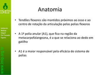 Anatomia
• Tendões flexores são mantidos próximos ao osso e ao
centro de rotação da articulação pelas polias flexoras
• A 1ª polia anular (A1), que fica na região da
metacarpofalangeana, é a que se relaciona ao dedo em
gatilho
• A1 é a maior responsável pela eficácia do sistema de
polias
 