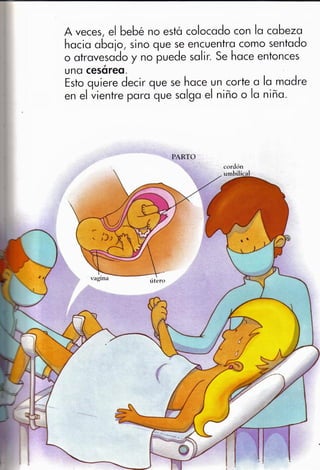 De donde vienen los bebés