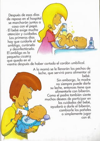 De donde vienen los bebés