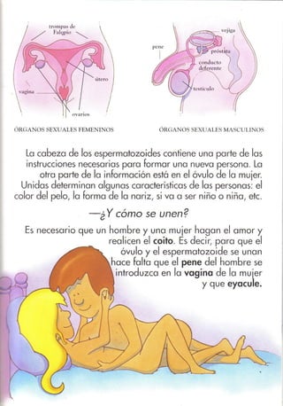 De donde vienen los bebés