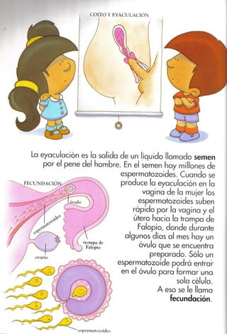 De donde vienen los bebés