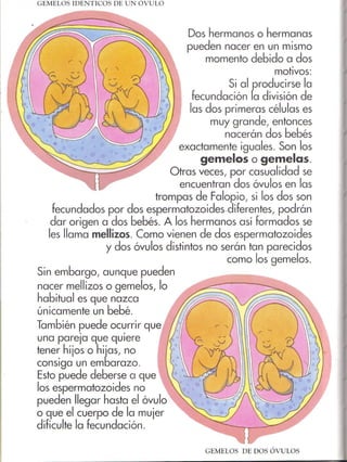 De donde vienen los bebés