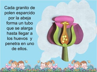Cada granito de
polen esparcido
   por la abeja
 forma un tubo
 que se alarga
 hasta llegar a
  los huevos y
penetra en uno
     de ellos.
 