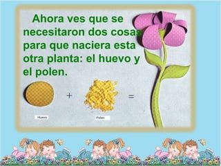 Ahora ves que se
necesitaron dos cosas
para que naciera esta
otra planta: el huevo y
el polen.
 