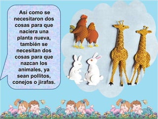 Así como se
necesitaron dos
 cosas para que
   naciera una
  planta nueva,
    también se
  necesitan dos
 cosas para que
    nazcan los
   animales, ya
  sean pollitos,
conejos o jirafas.
 