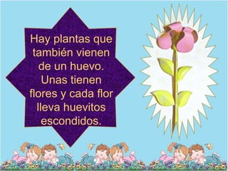 Hay plantas que
 también vienen
   de un huevo.
    Unas tienen
flores y cada flor
  lleva huevitos
    escondidos.
 