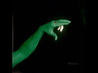 Painted Hands