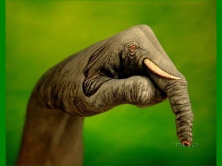 Painted Hands