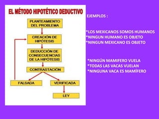 EJEMPLOS :

*LOS MEXICANOS SOMOS HUMANOS
*NINGUN HUMANO ES OBJETO
*NINGUN MEXICANO ES OBJETO

*NINGÚN MAMIFERO VUELA
*TODAS LAS VACAS VUELAN
*NINGUNA VACA ES MAMÍFERO

 