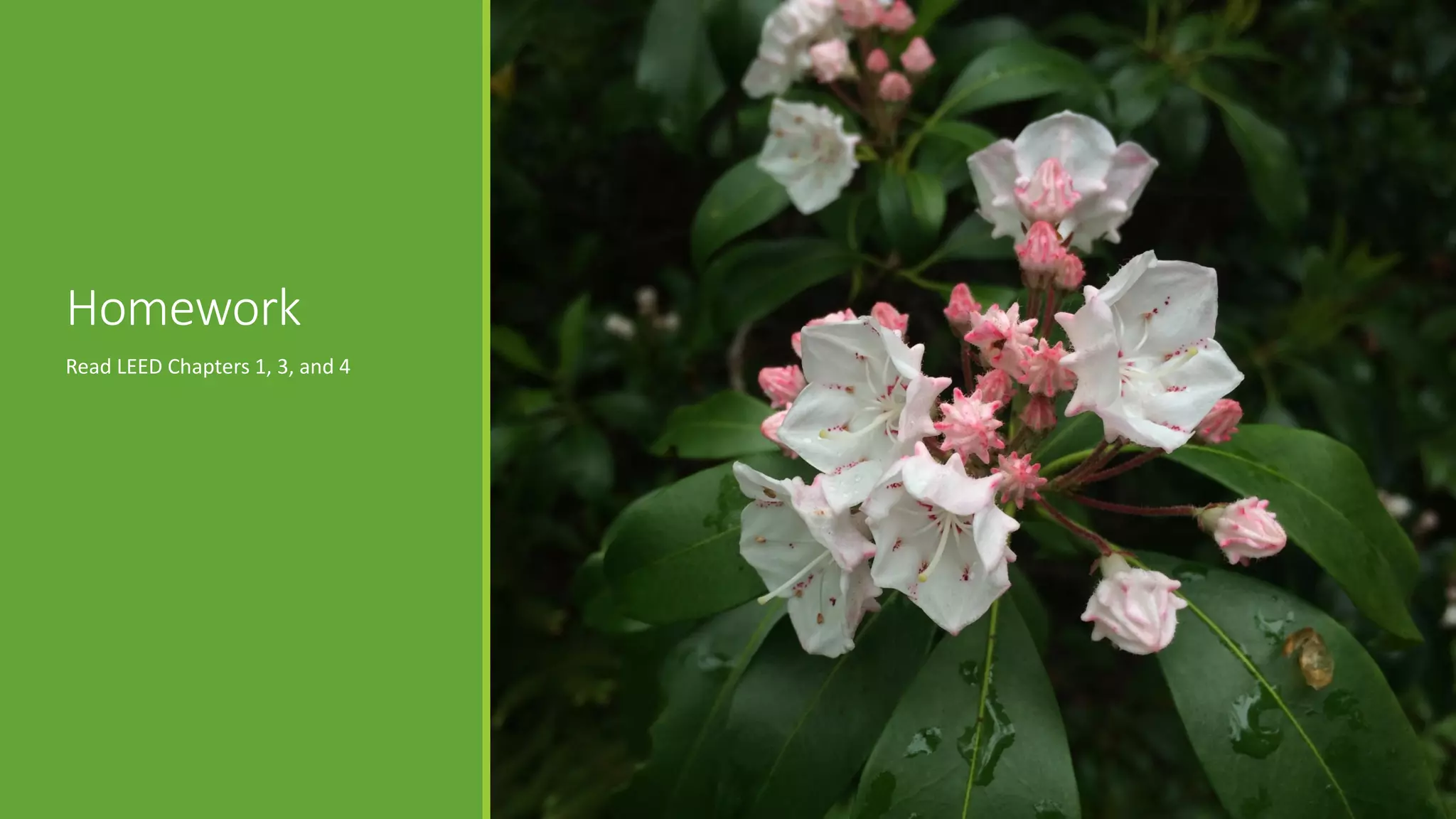 Homework
Read LEED Chapters 1, 3, and 4
 