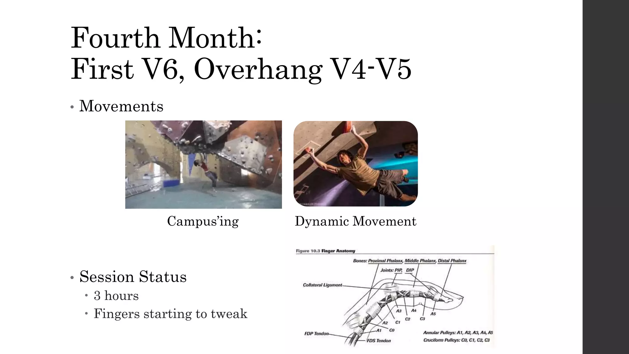 Fourth Month:
First V6, Overhang V4-V5
• Movements
• Session Status
 3 hours
 Fingers starting to tweak
Campus’ing Dynamic Movement
 