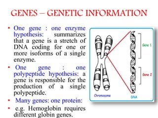 PPT ON MICROBIAL GENOME | PPT